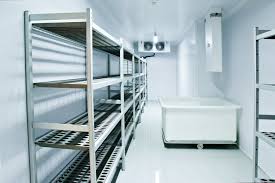 What is a Walk-In Freezer?